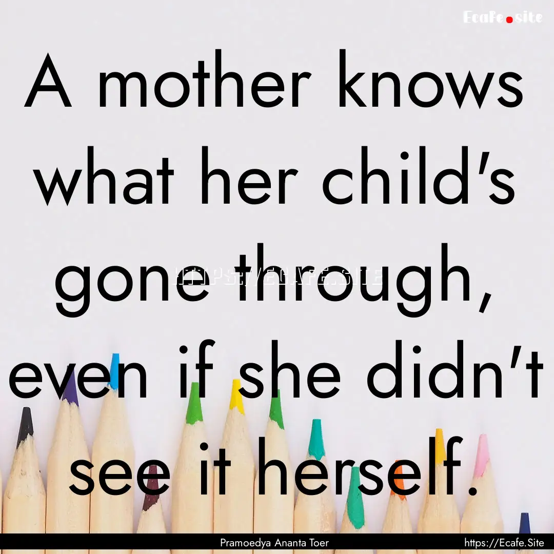 A mother knows what her child's gone through,.... : Quote by Pramoedya Ananta Toer