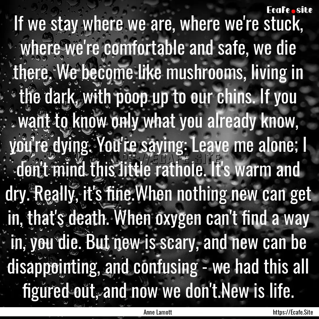 If we stay where we are, where we're stuck,.... : Quote by Anne Lamott