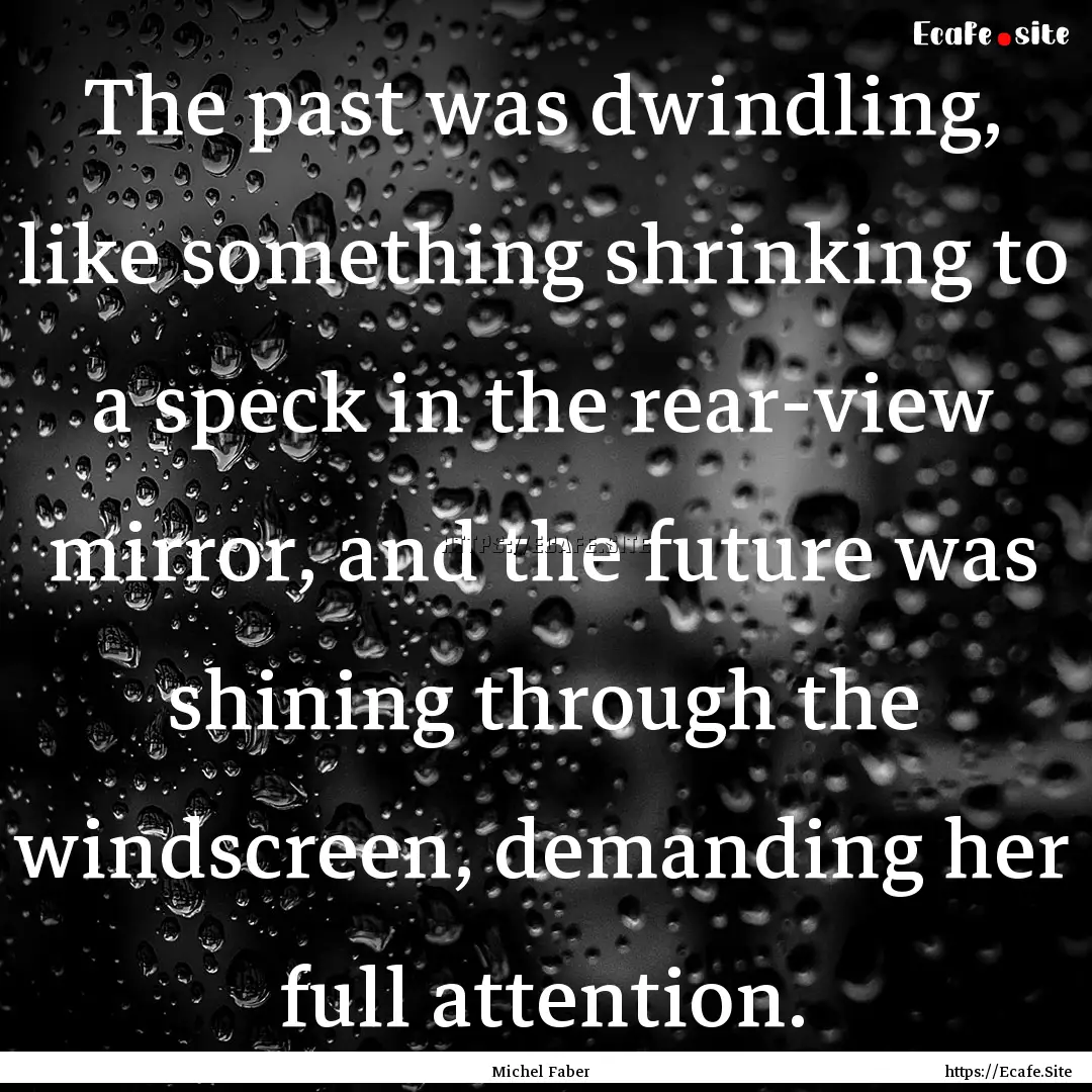 The past was dwindling, like something shrinking.... : Quote by Michel Faber