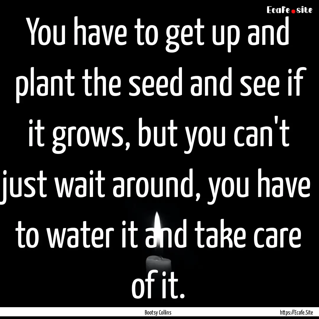 You have to get up and plant the seed and.... : Quote by Bootsy Collins