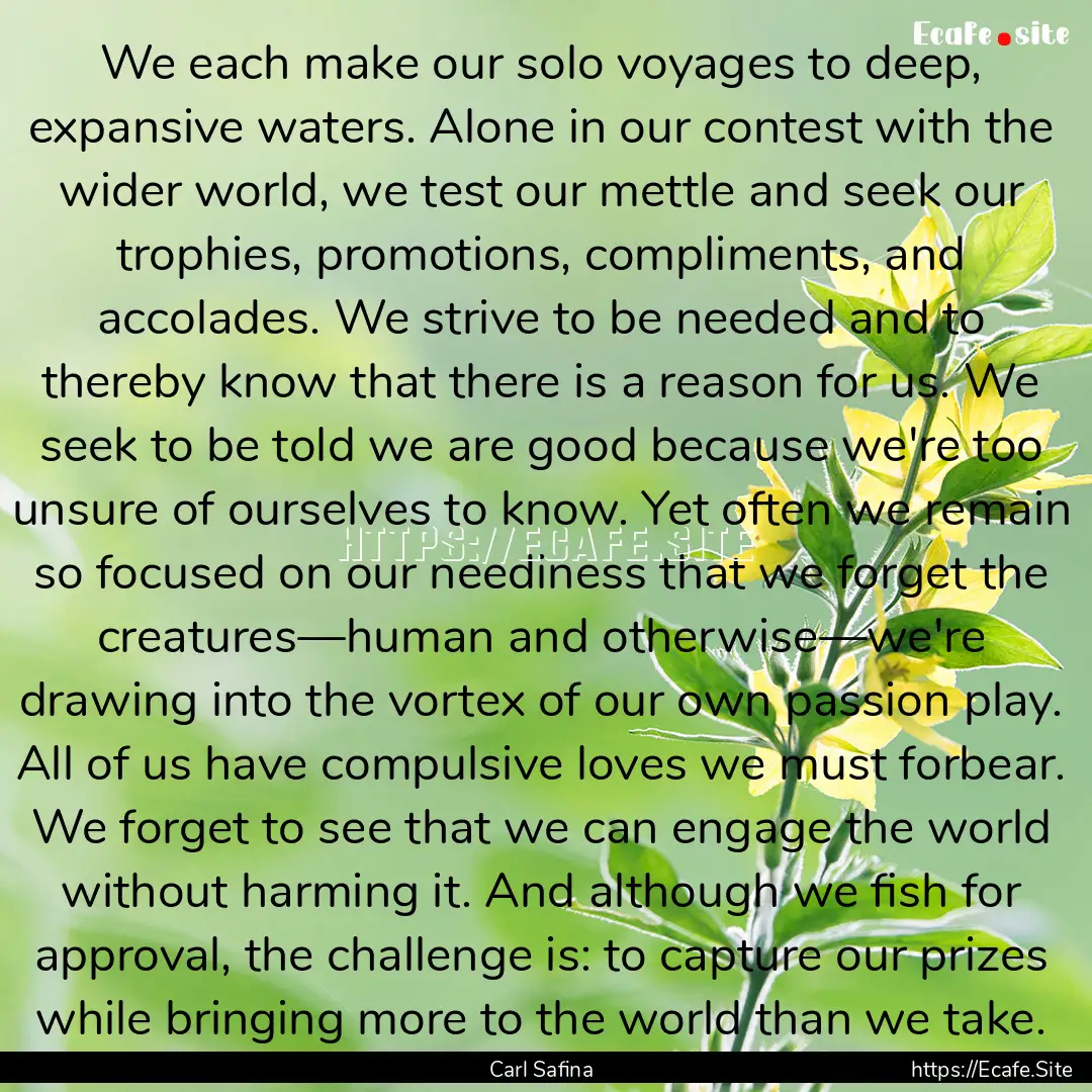 We each make our solo voyages to deep, expansive.... : Quote by Carl Safina