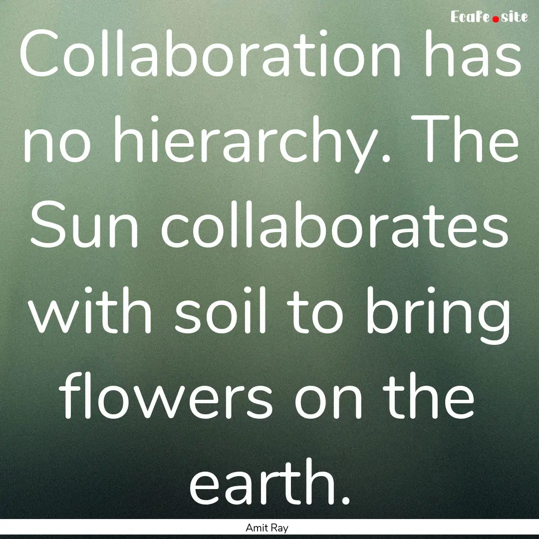 Collaboration has no hierarchy. The Sun collaborates.... : Quote by Amit Ray