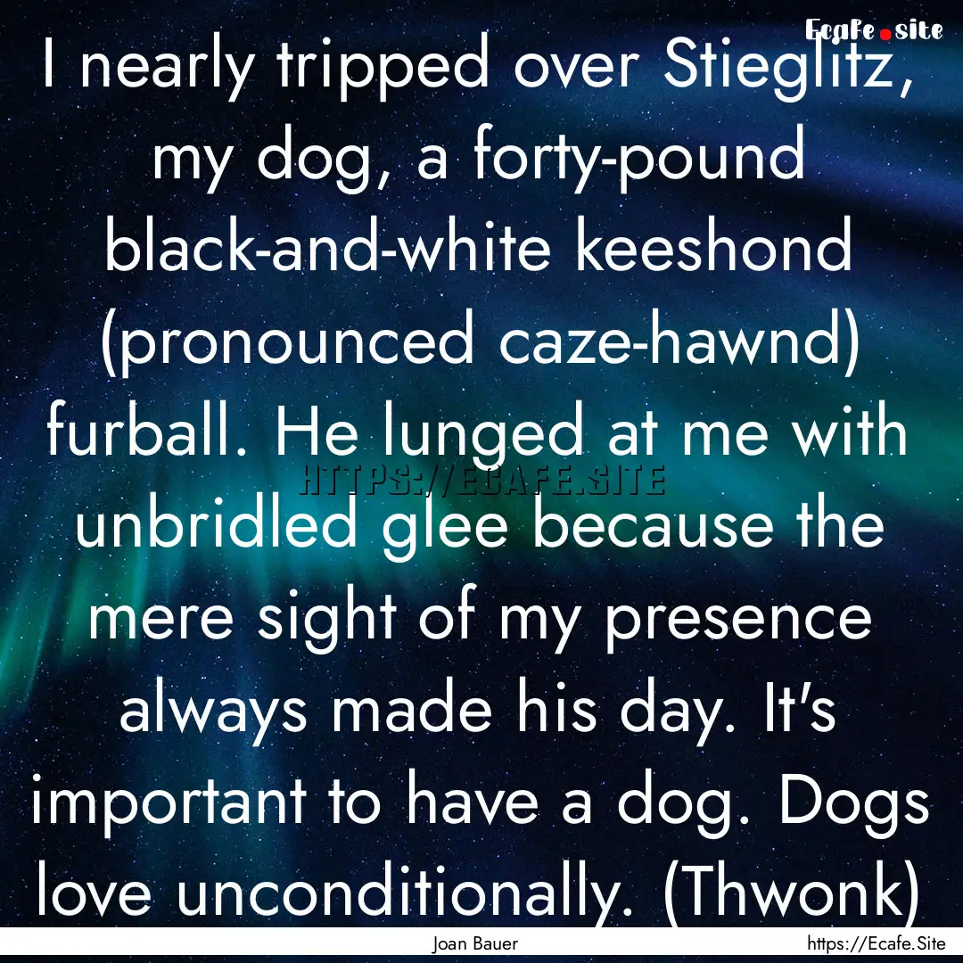 I nearly tripped over Stieglitz, my dog,.... : Quote by Joan Bauer