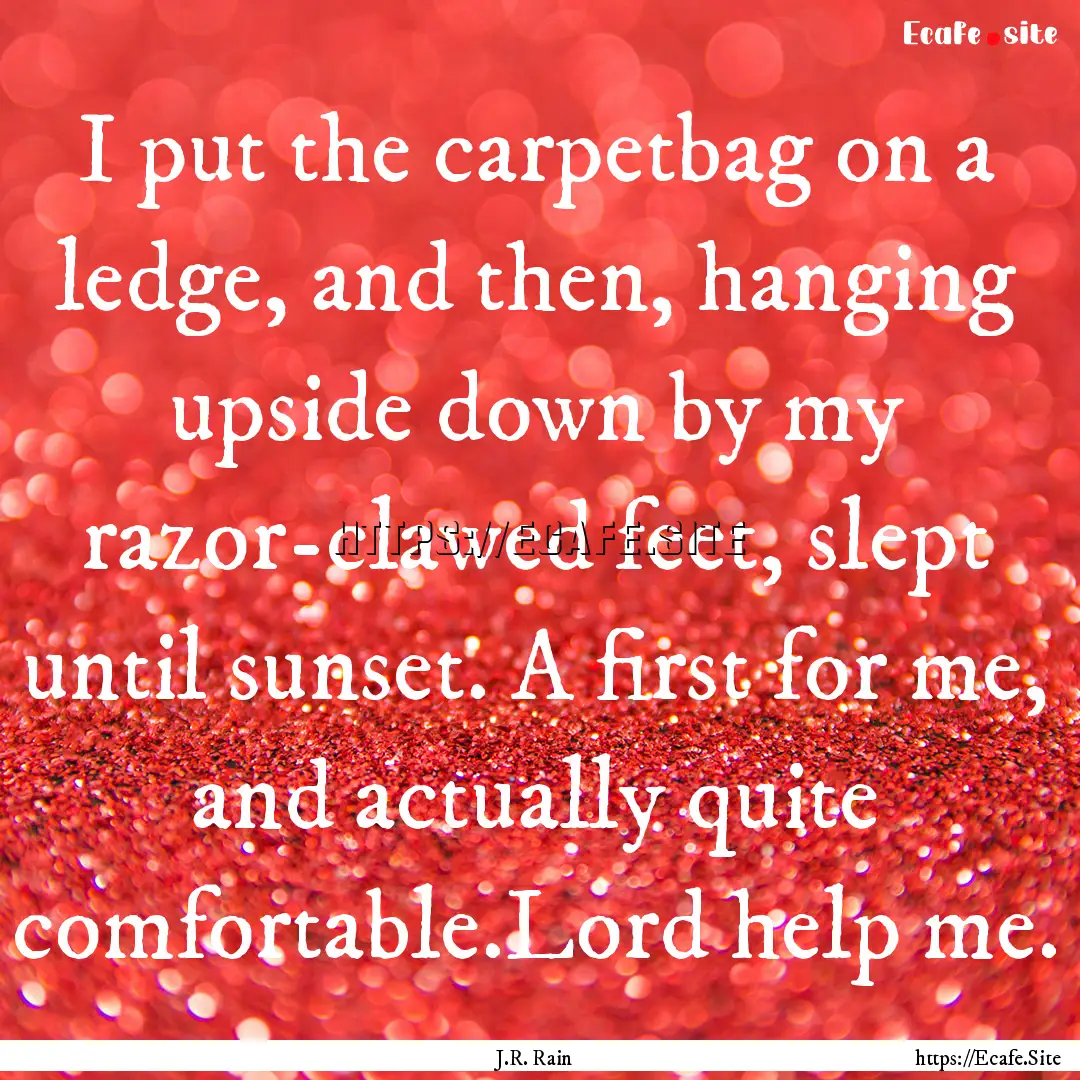 I put the carpetbag on a ledge, and then,.... : Quote by J.R. Rain