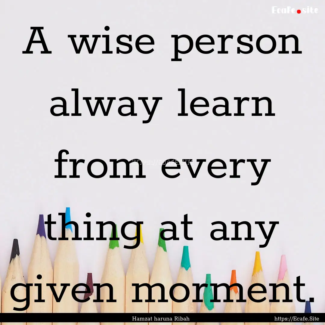 A wise person alway learn from every thing.... : Quote by Hamzat haruna Ribah