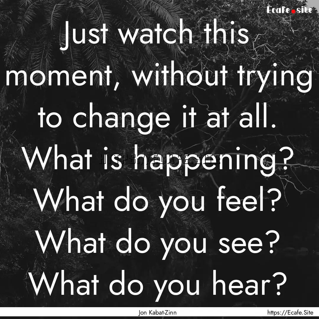 Just watch this moment, without trying to.... : Quote by Jon Kabat-Zinn