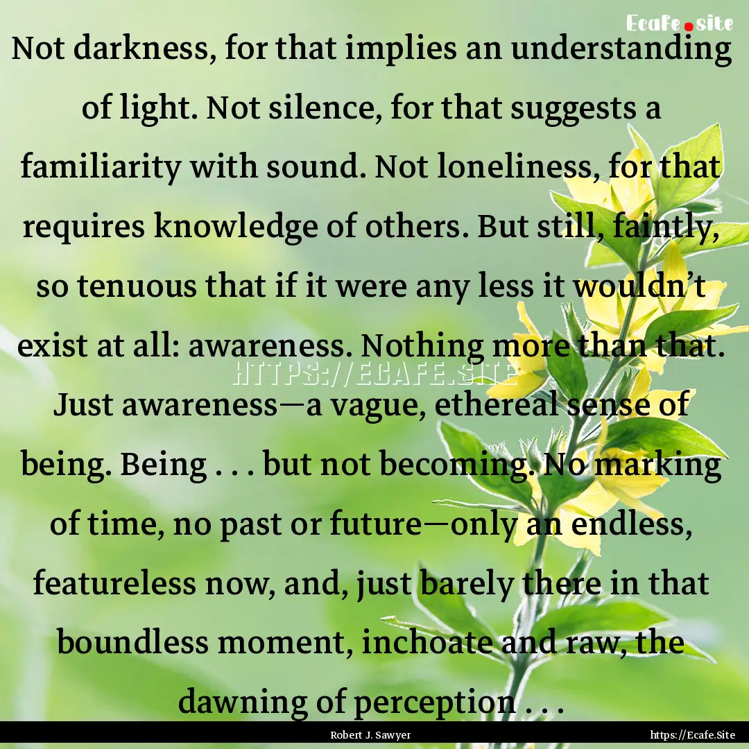 Not darkness, for that implies an understanding.... : Quote by Robert J. Sawyer