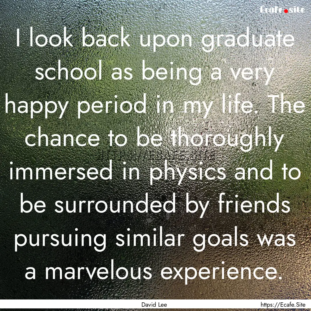 I look back upon graduate school as being.... : Quote by David Lee