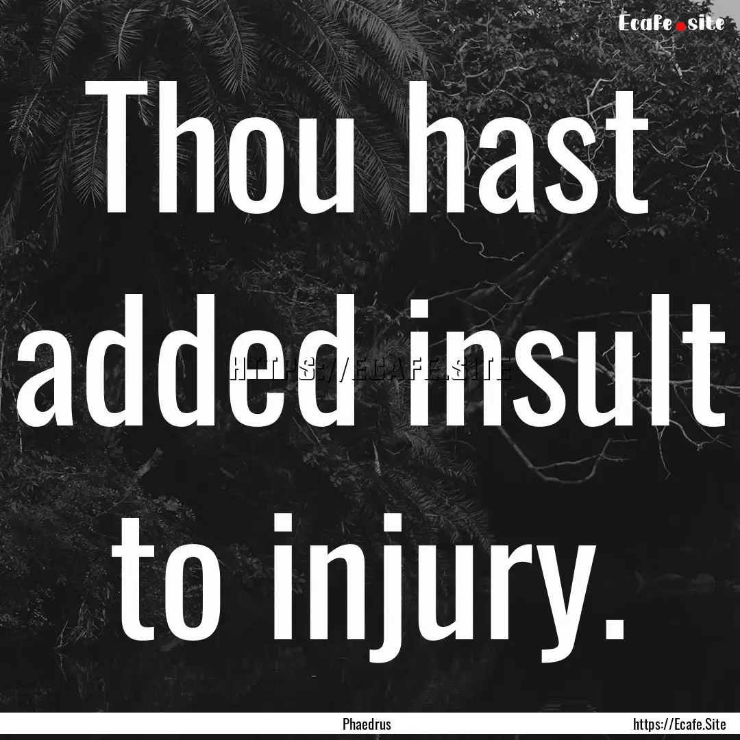 Thou hast added insult to injury. : Quote by Phaedrus