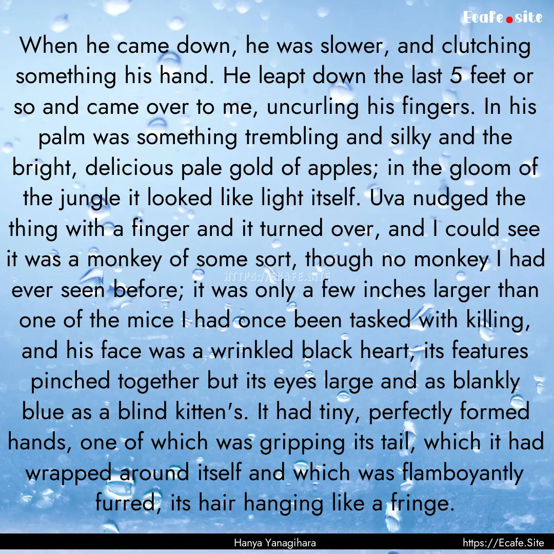 When he came down, he was slower, and clutching.... : Quote by Hanya Yanagihara