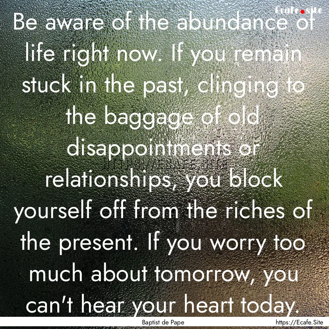 Be aware of the abundance of life right now..... : Quote by Baptist de Pape