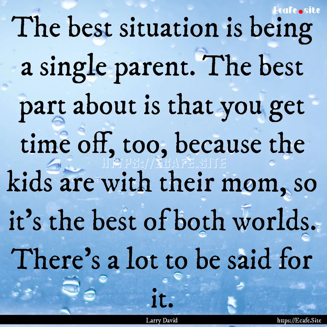 The best situation is being a single parent..... : Quote by Larry David