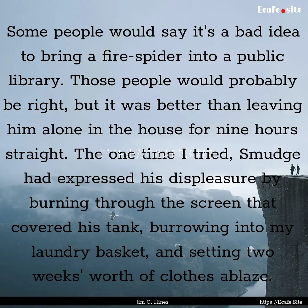 Some people would say it's a bad idea to.... : Quote by Jim C. Hines