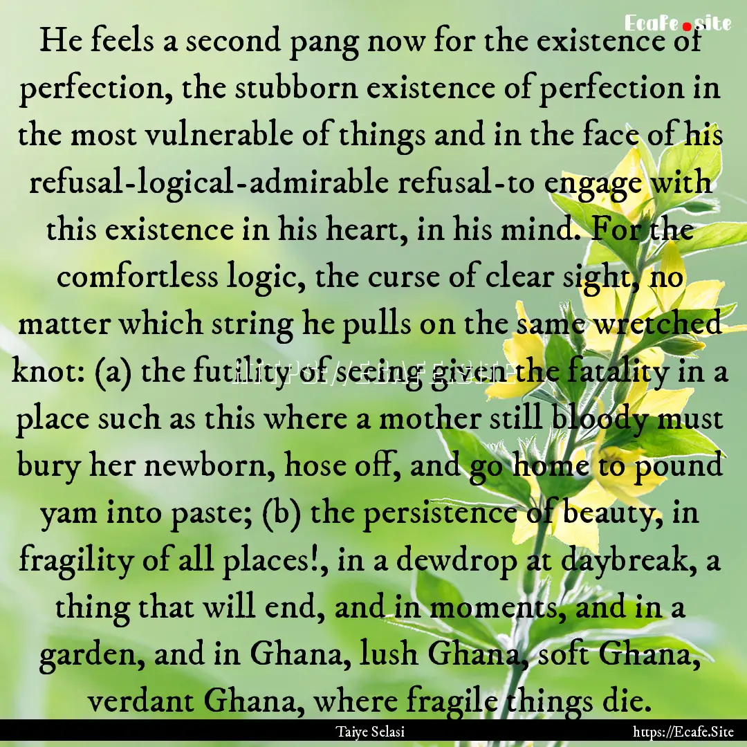 He feels a second pang now for the existence.... : Quote by Taiye Selasi