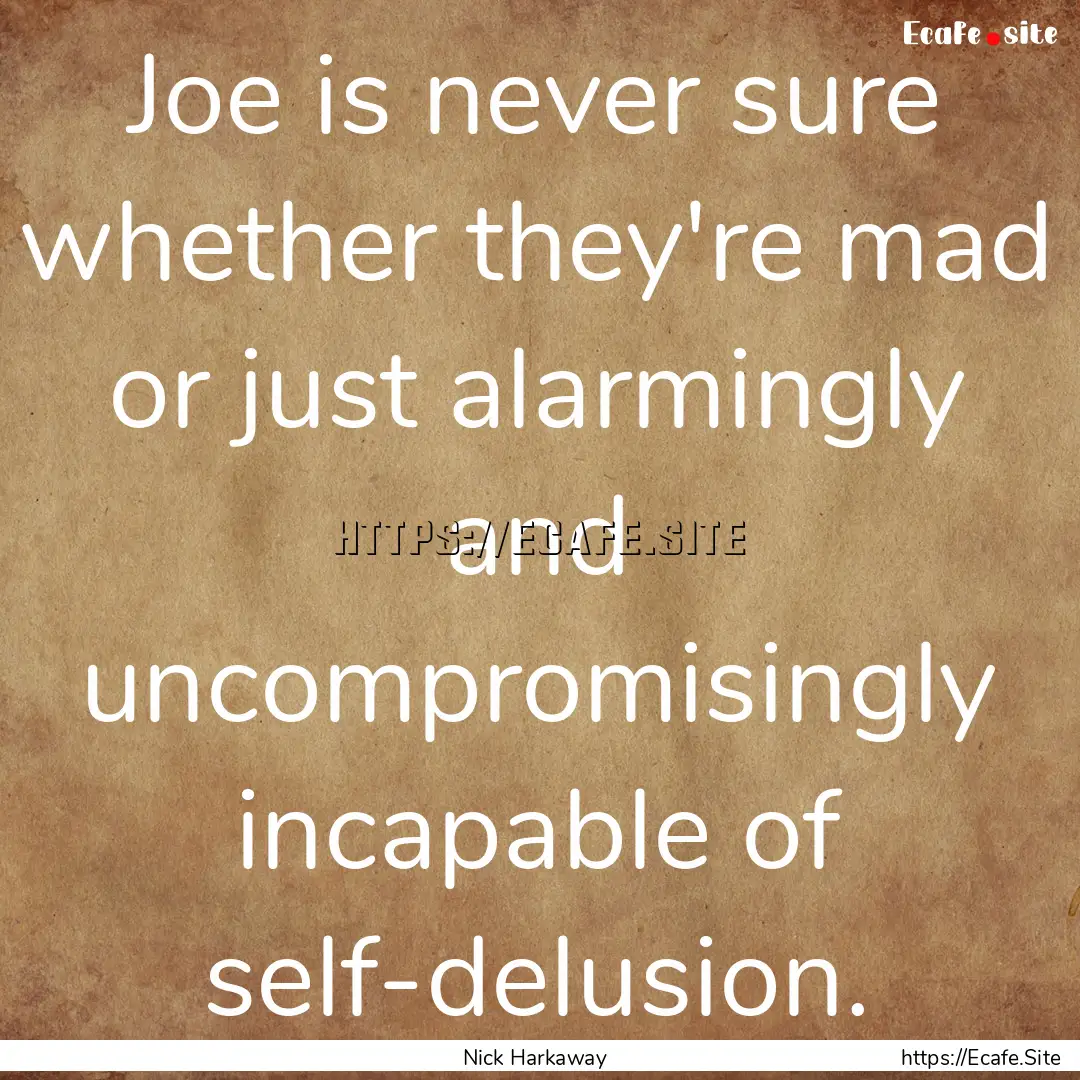 Joe is never sure whether they're mad or.... : Quote by Nick Harkaway