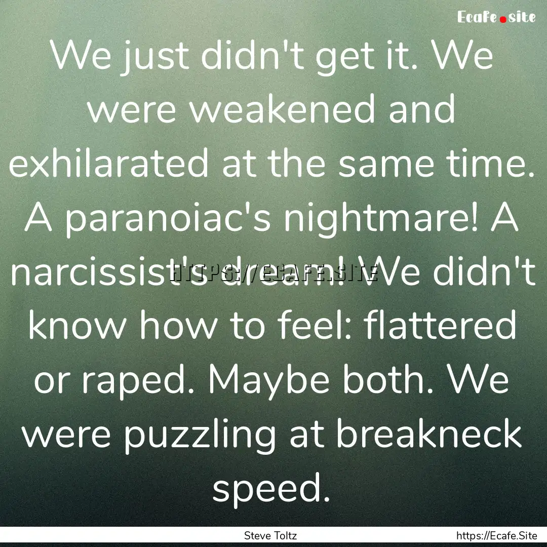 We just didn't get it. We were weakened and.... : Quote by Steve Toltz