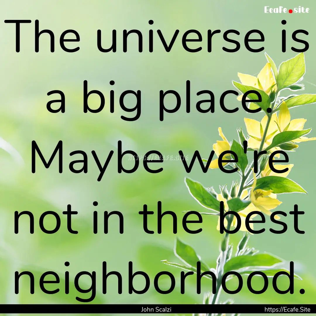 The universe is a big place. Maybe we're.... : Quote by John Scalzi