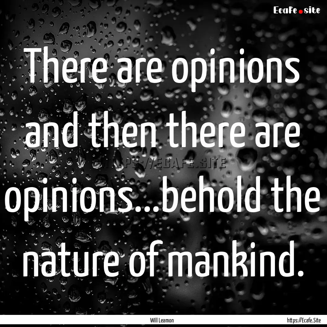 There are opinions and then there are opinions...behold.... : Quote by Will Leamon