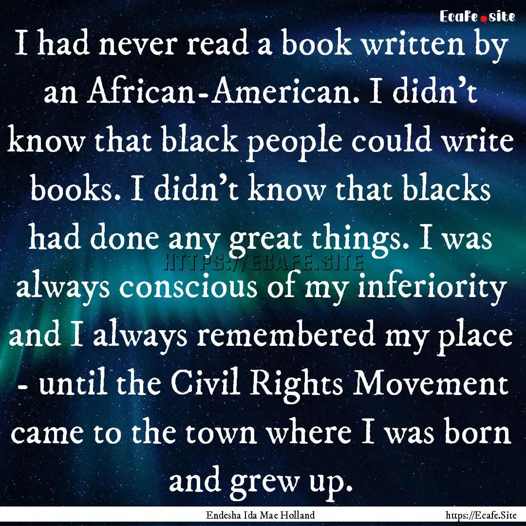 I had never read a book written by an African-American..... : Quote by Endesha Ida Mae Holland