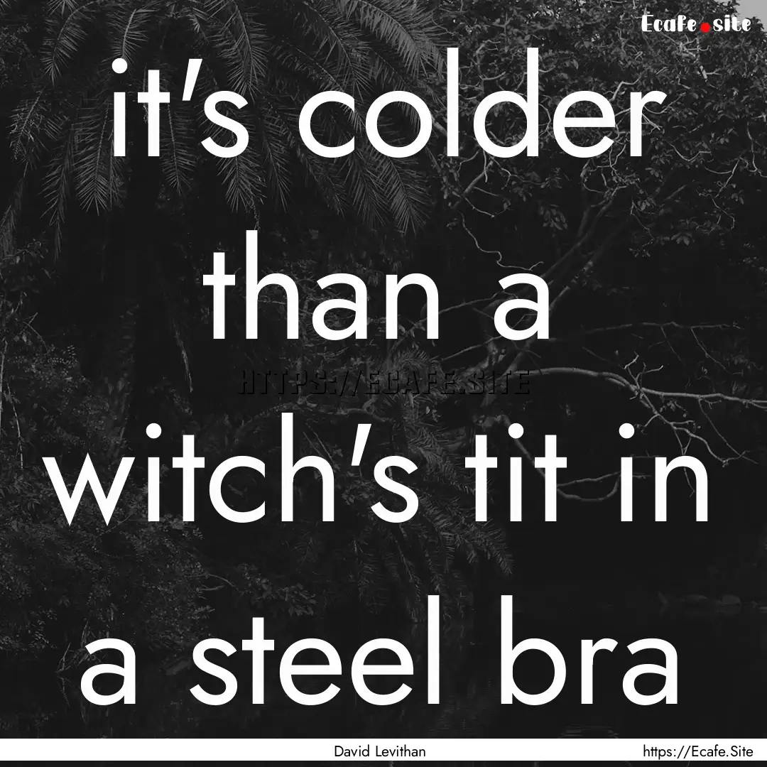 it's colder than a witch's tit in a steel.... : Quote by David Levithan