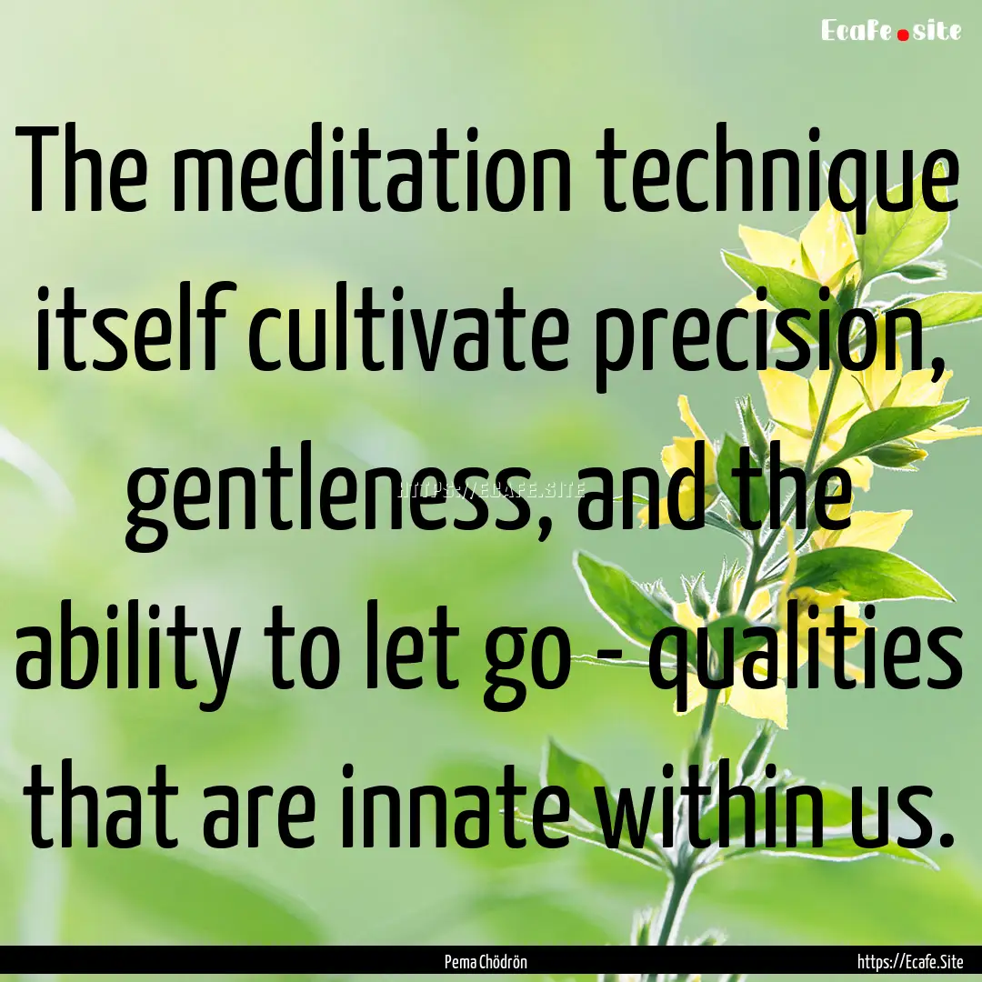 The meditation technique itself cultivate.... : Quote by Pema Chödrön