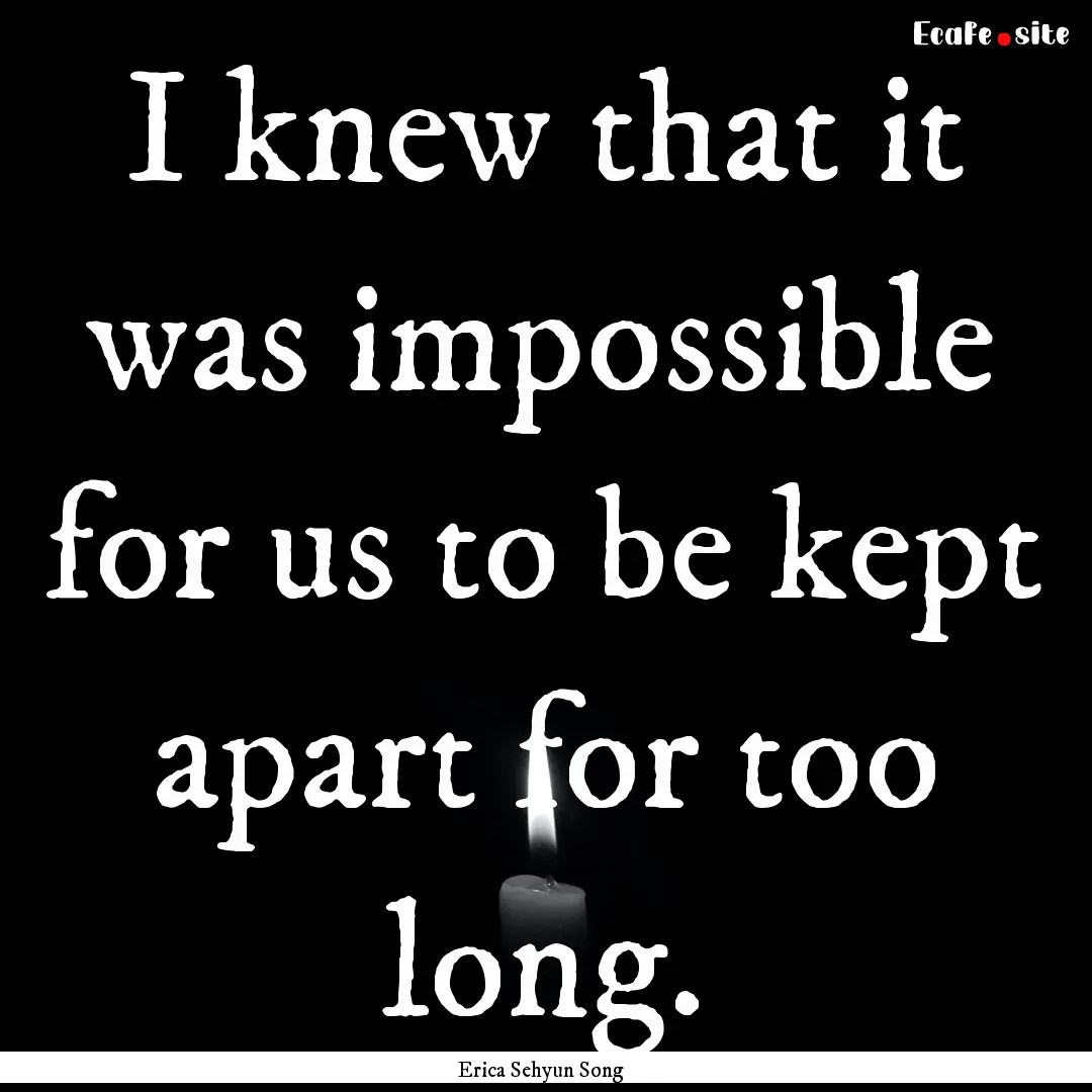 I knew that it was impossible for us to be.... : Quote by Erica Sehyun Song