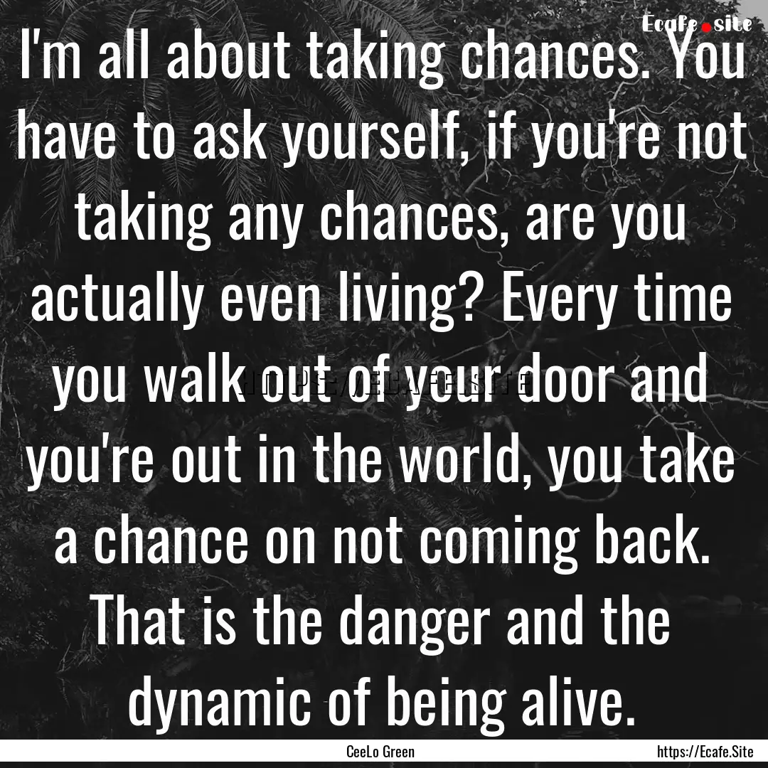 I'm all about taking chances. You have to.... : Quote by CeeLo Green