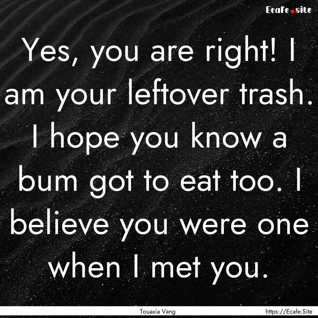 Yes, you are right! I am your leftover trash..... : Quote by Touaxia Vang