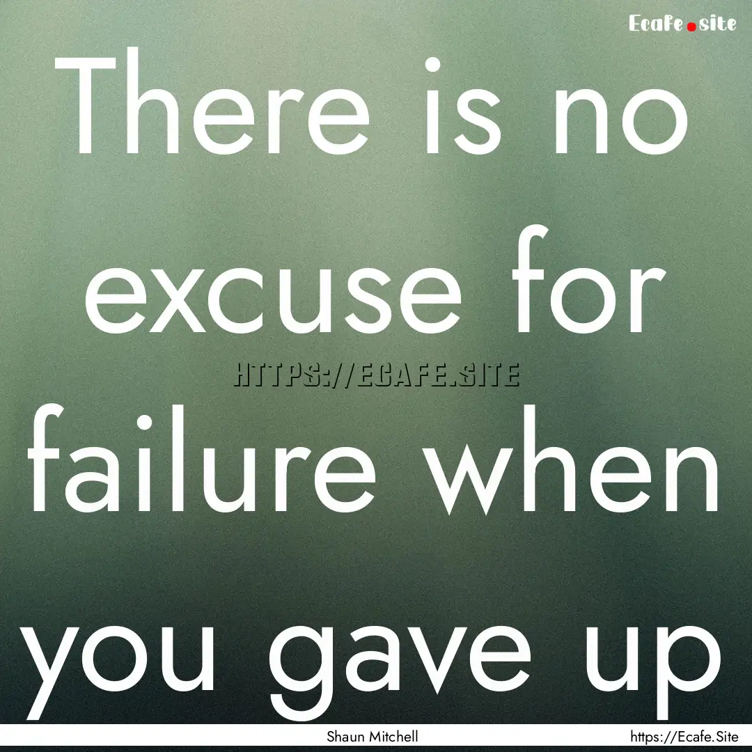 There is no excuse for failure when you gave.... : Quote by Shaun Mitchell