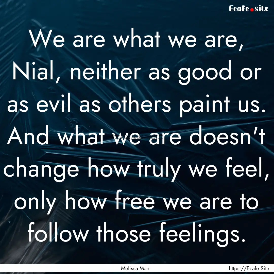 We are what we are, Nial, neither as good.... : Quote by Melissa Marr