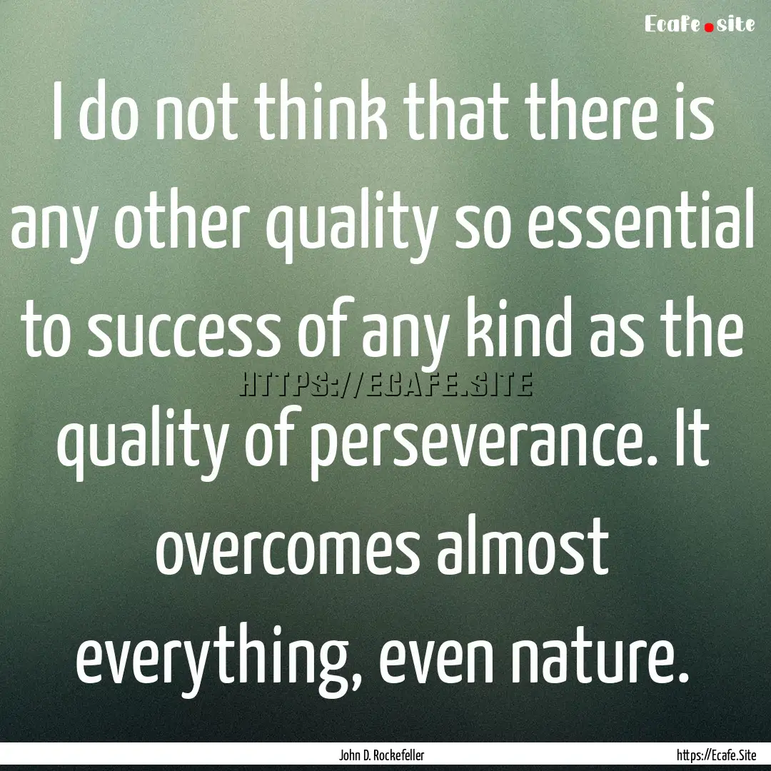 I do not think that there is any other quality.... : Quote by John D. Rockefeller