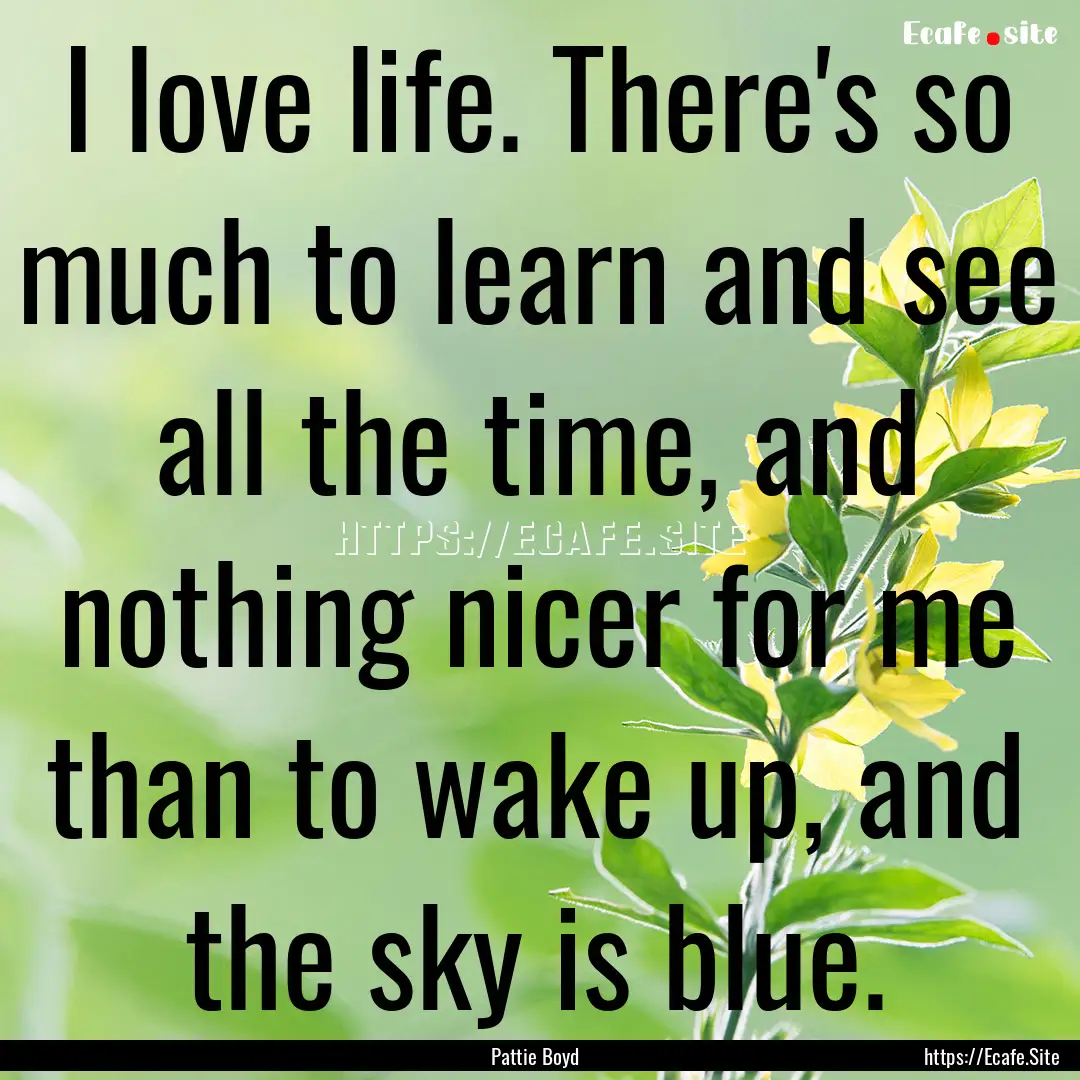 I love life. There's so much to learn and.... : Quote by Pattie Boyd