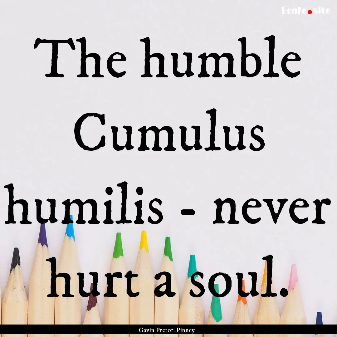 The humble Cumulus humilis - never hurt a.... : Quote by Gavin Pretor-Pinney