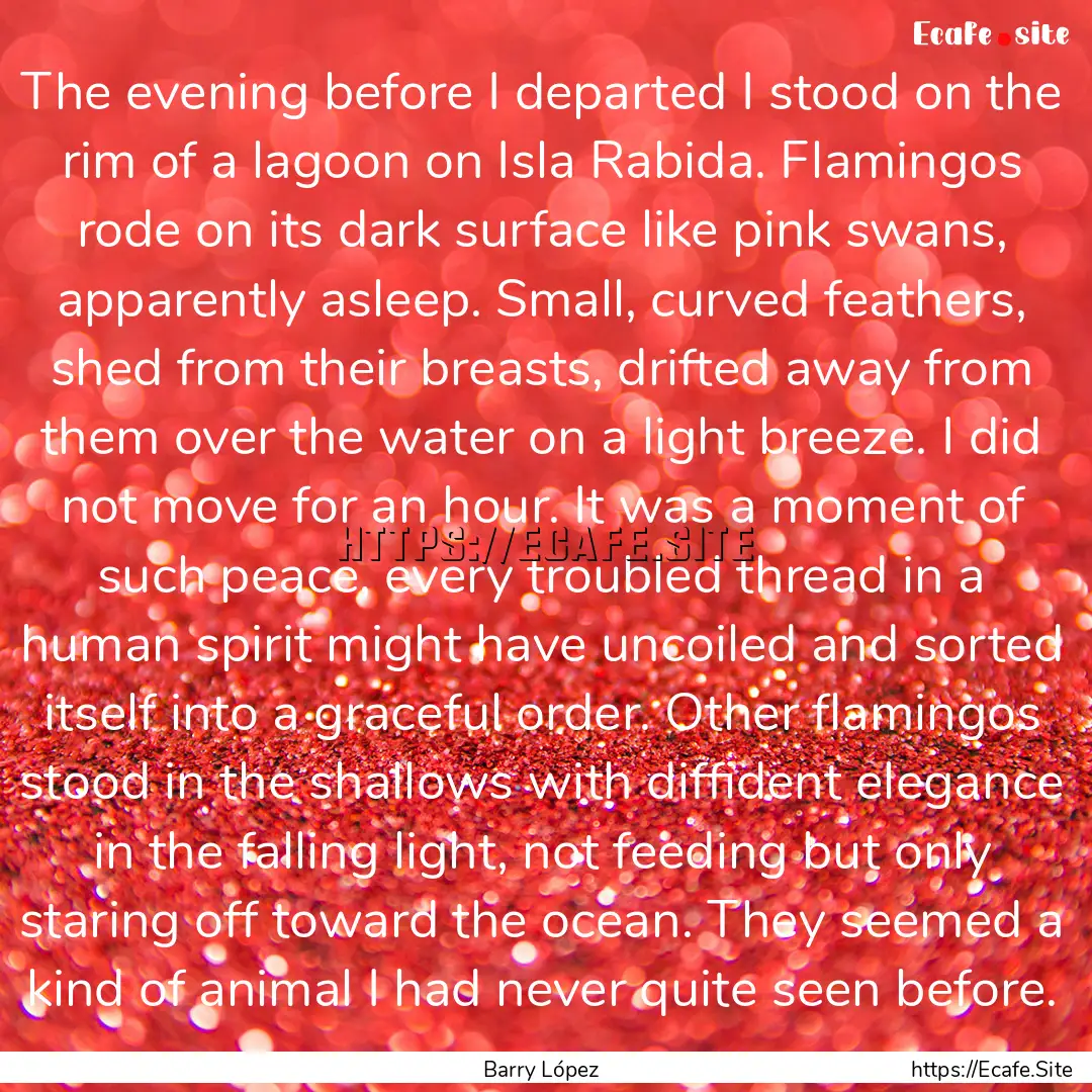 The evening before I departed I stood on.... : Quote by Barry López