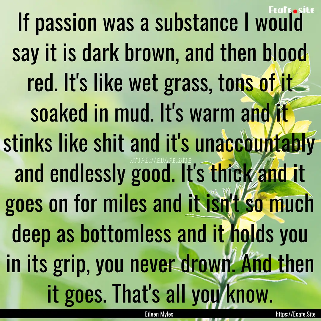 If passion was a substance I would say it.... : Quote by Eileen Myles