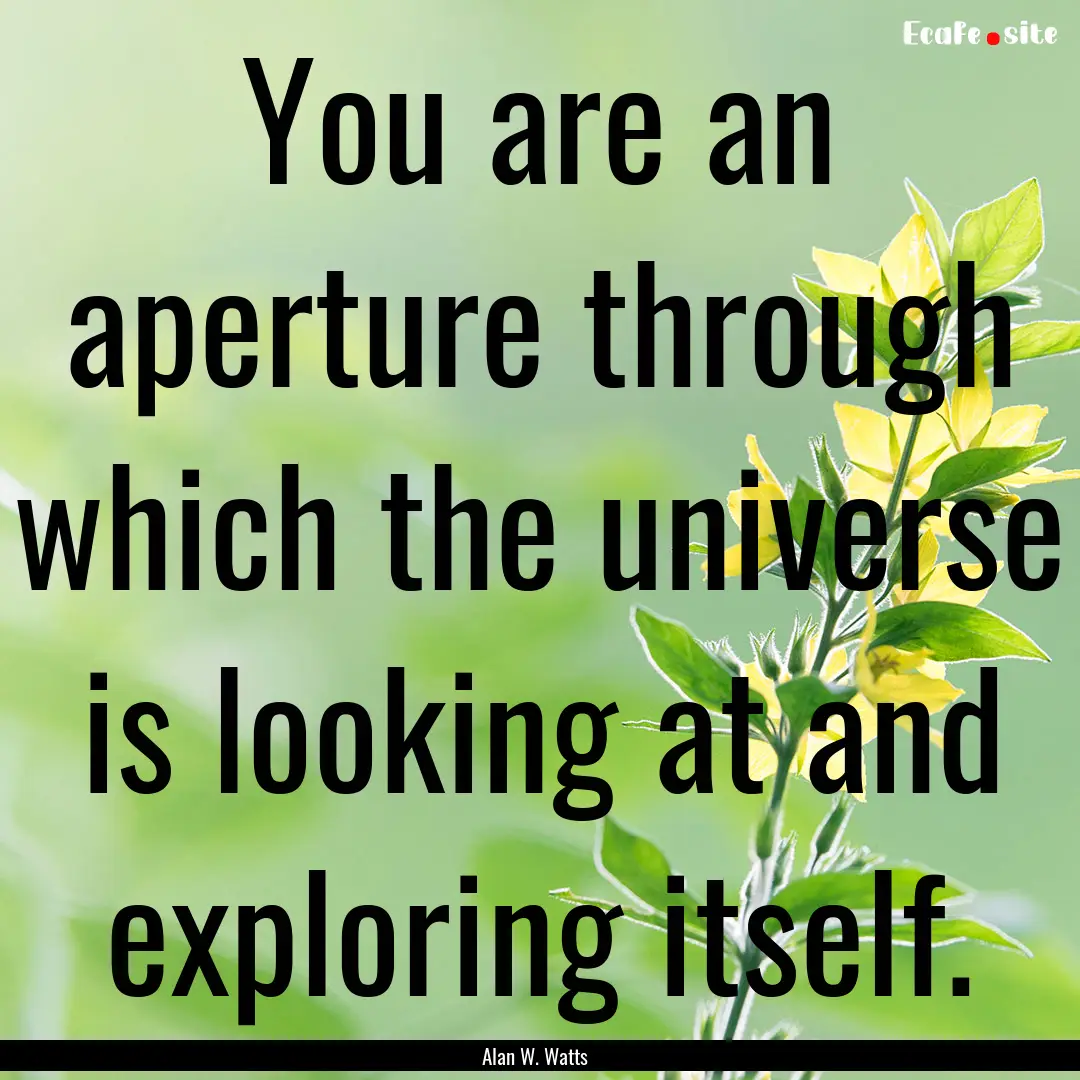 You are an aperture through which the universe.... : Quote by Alan W. Watts