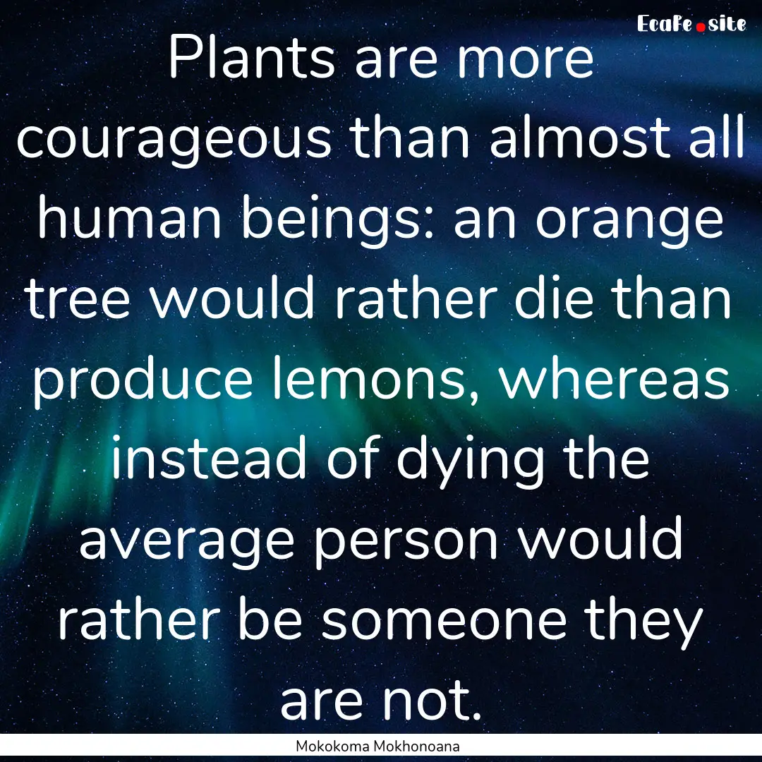 Plants are more courageous than almost all.... : Quote by Mokokoma Mokhonoana