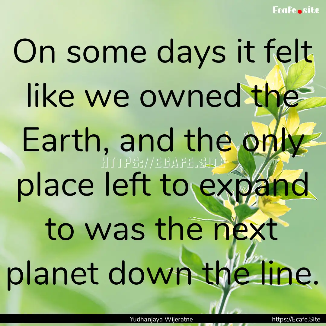 On some days it felt like we owned the Earth,.... : Quote by Yudhanjaya Wijeratne