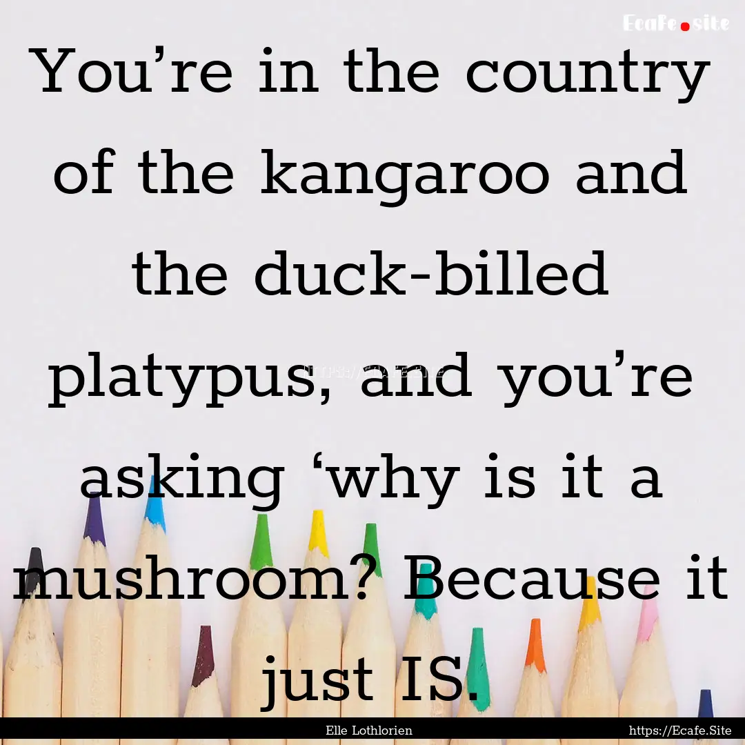 You’re in the country of the kangaroo and.... : Quote by Elle Lothlorien