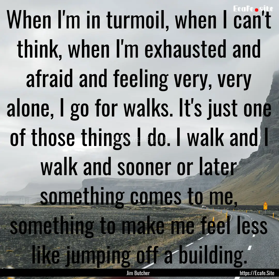 When I'm in turmoil, when I can't think,.... : Quote by Jim Butcher