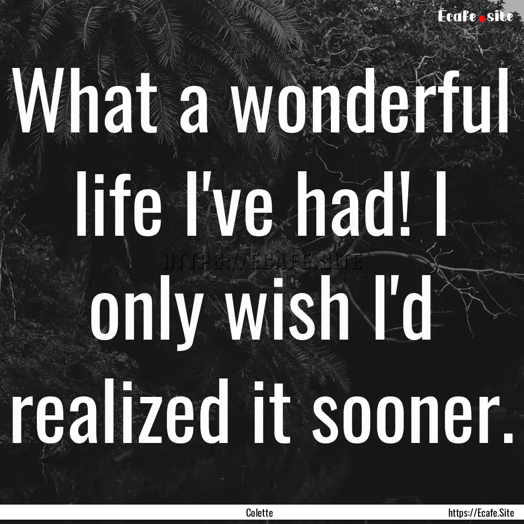 What a wonderful life I've had! I only wish.... : Quote by Colette