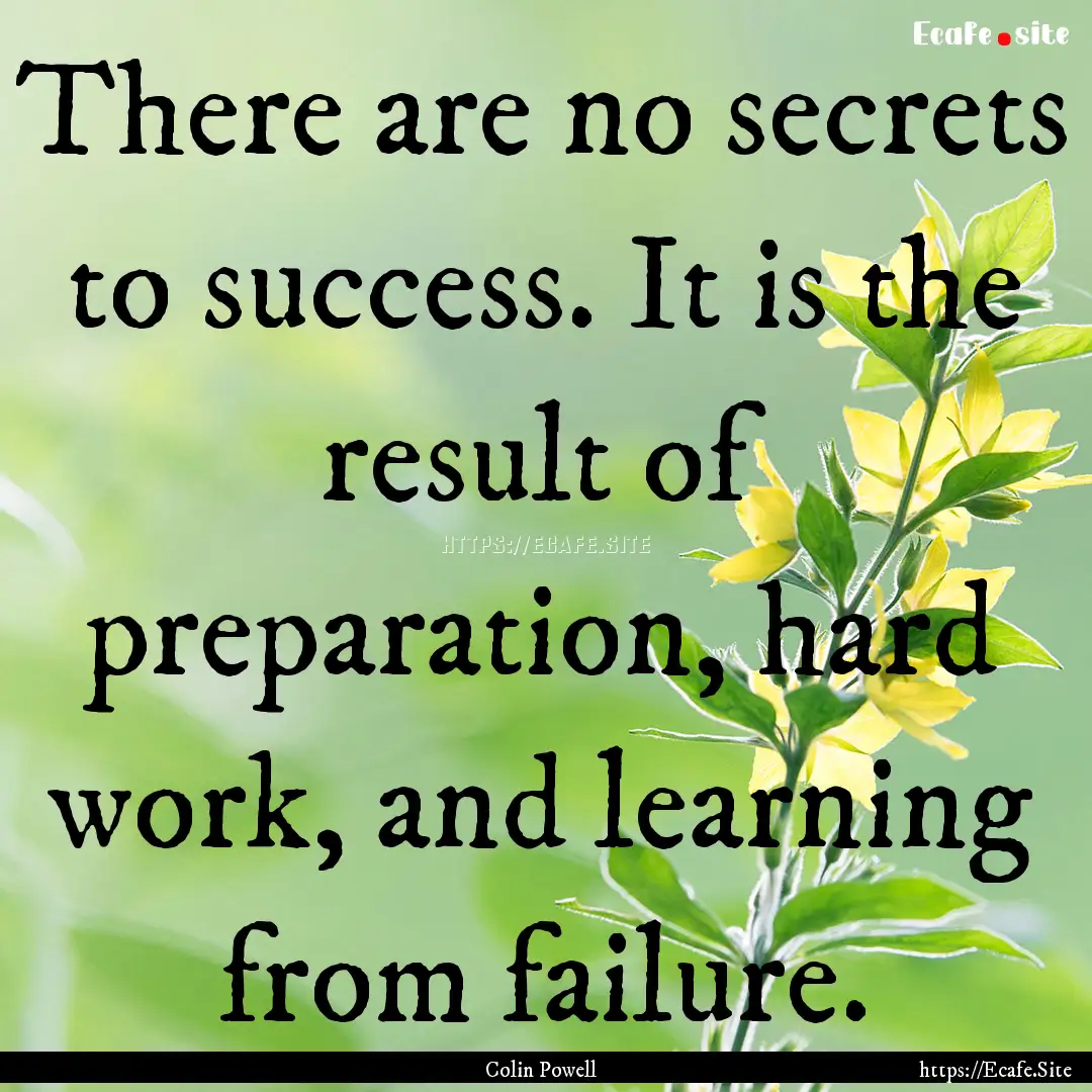 There are no secrets to success. It is the.... : Quote by Colin Powell