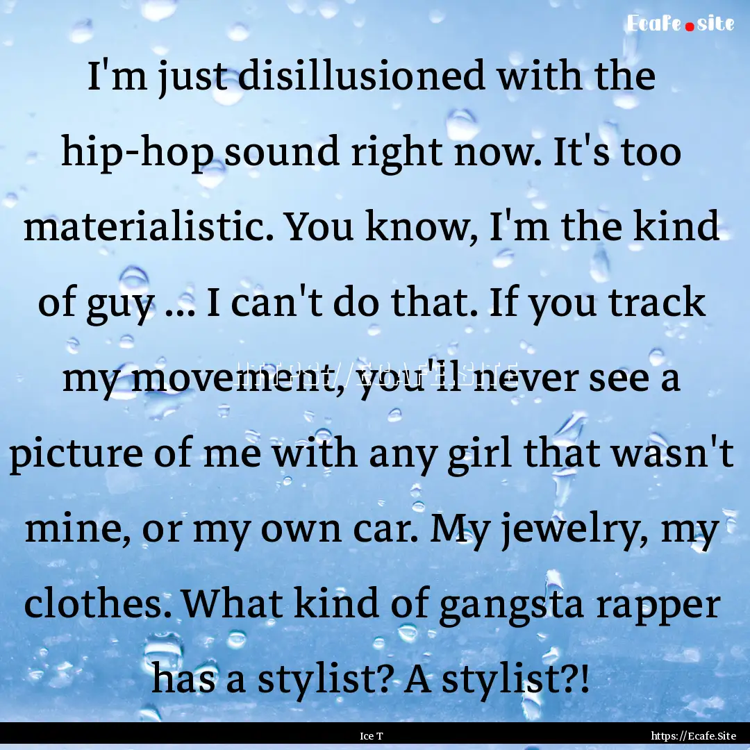 I'm just disillusioned with the hip-hop sound.... : Quote by Ice T