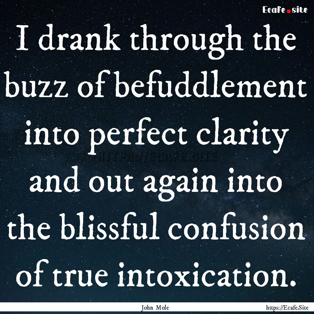 I drank through the buzz of befuddlement.... : Quote by John Mole