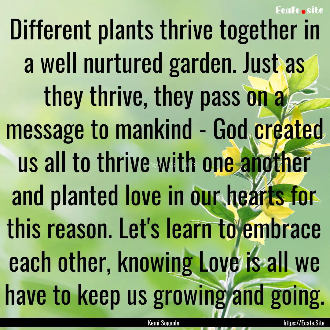 Different plants thrive together in a well.... : Quote by Kemi Sogunle