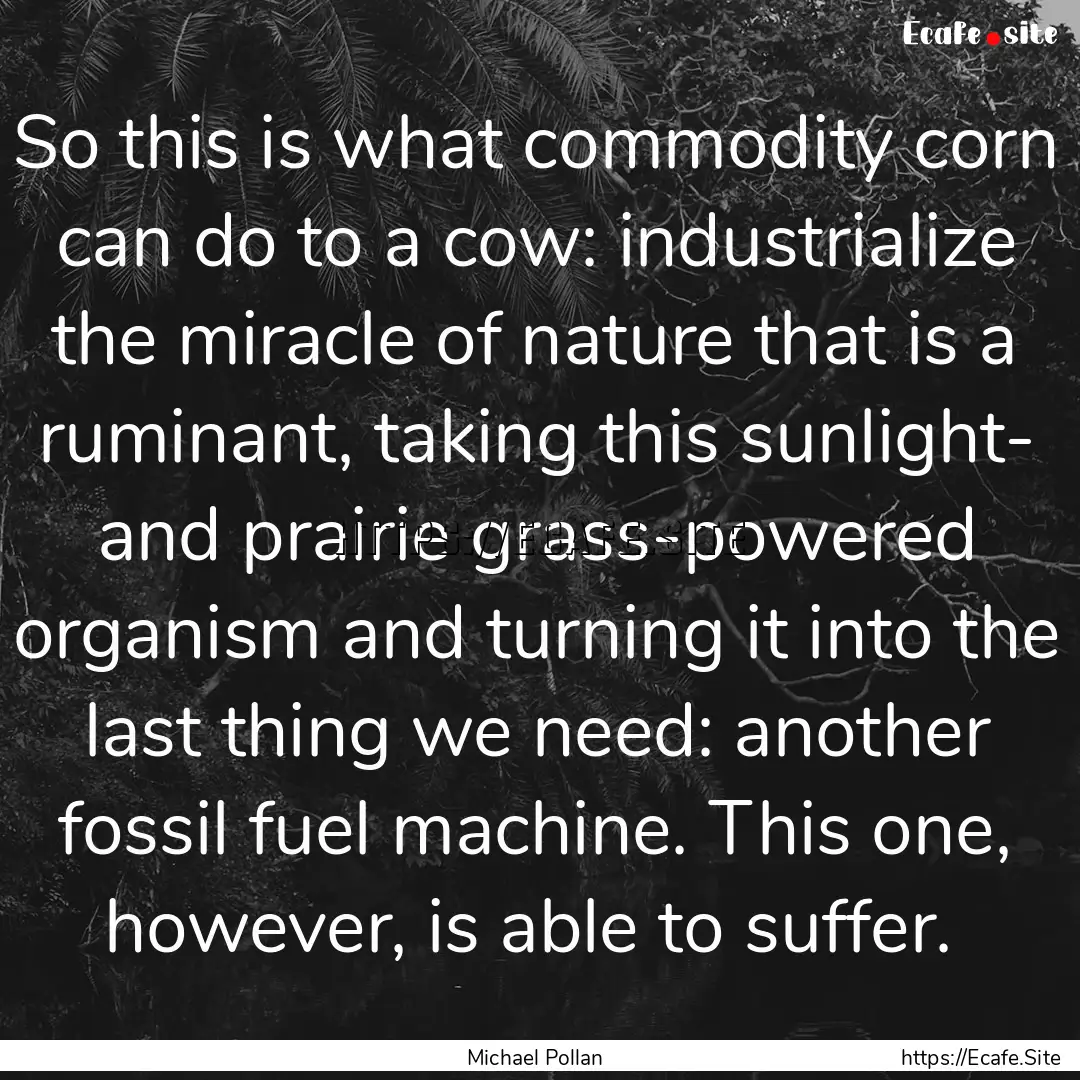 So this is what commodity corn can do to.... : Quote by Michael Pollan