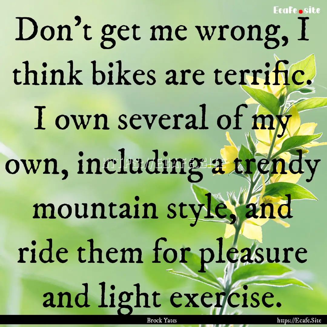 Don't get me wrong, I think bikes are terrific..... : Quote by Brock Yates