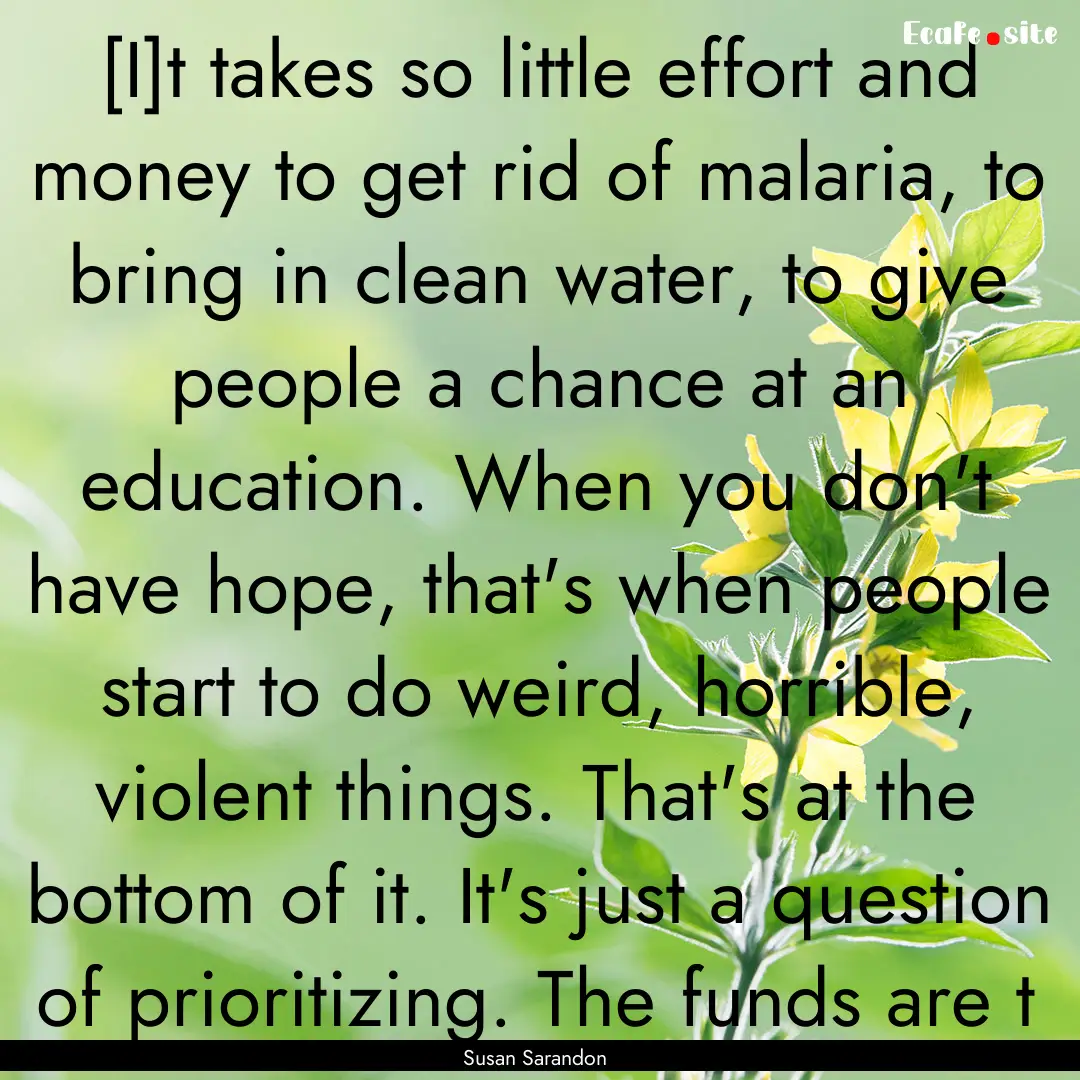 [I]t takes so little effort and money to.... : Quote by Susan Sarandon