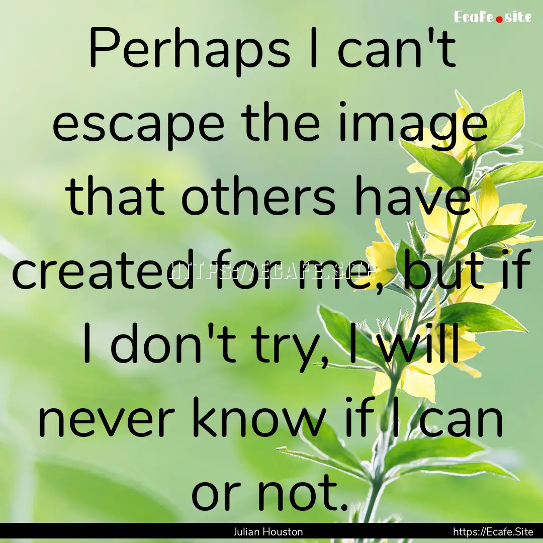 Perhaps I can't escape the image that others.... : Quote by Julian Houston