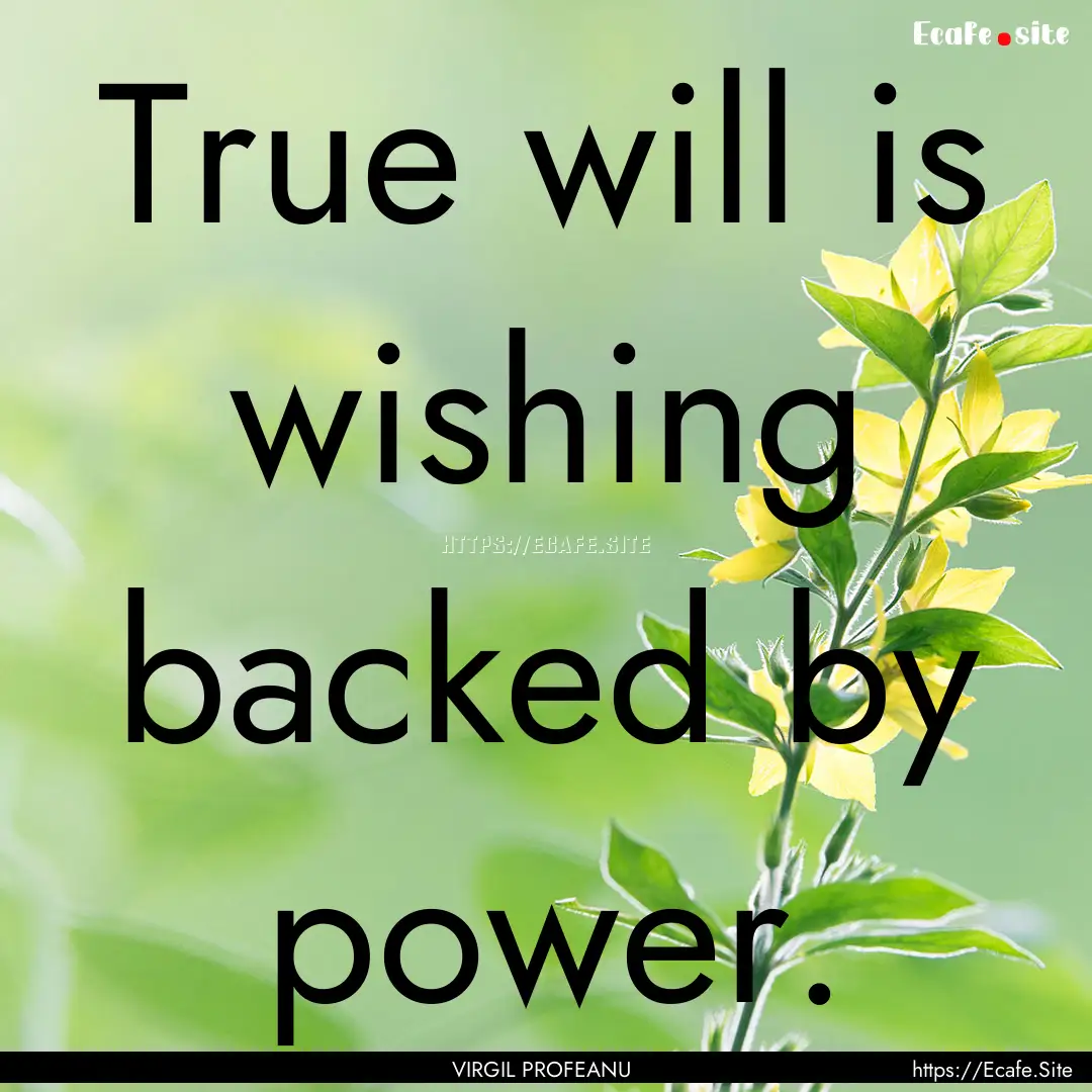 True will is wishing backed by power. : Quote by VIRGIL PROFEANU